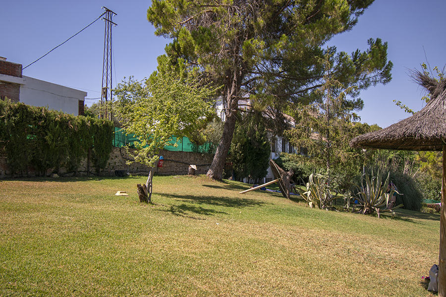 Cesped Imagen de Cesped