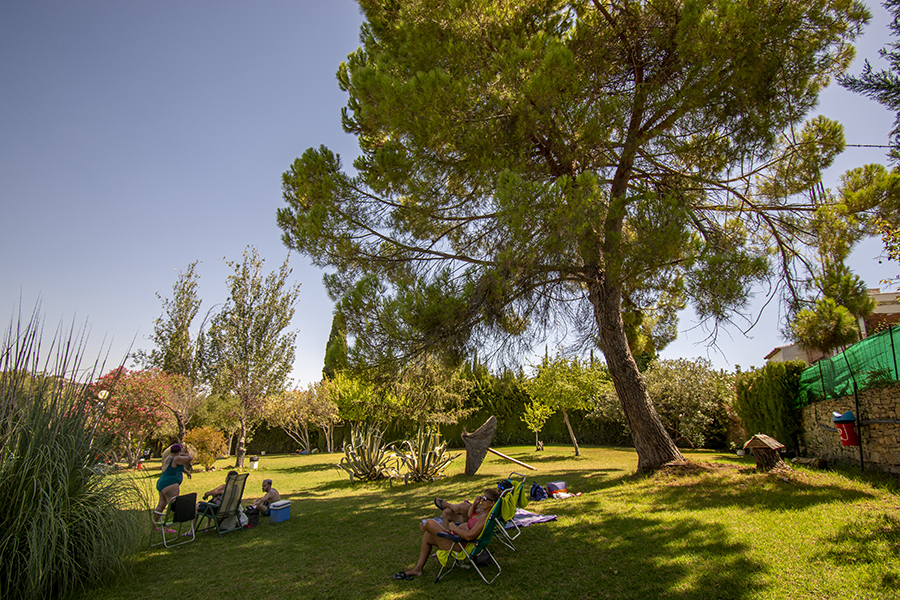 Piscina cesped Imagen de Piscina cesped